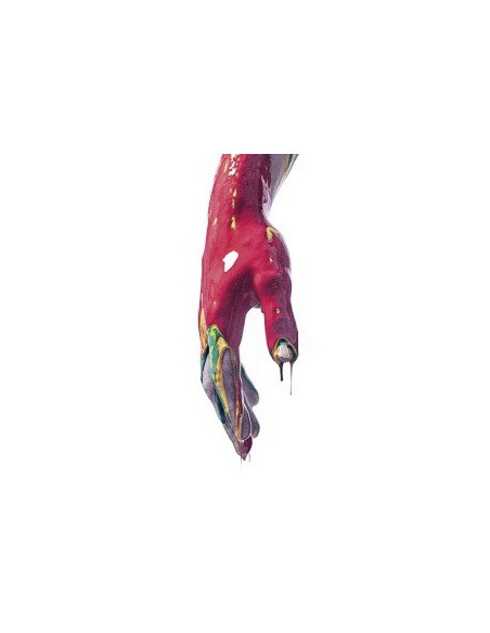 Nayt - Raptus