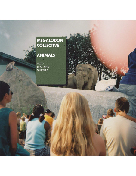 Megalodon Collective - Animals