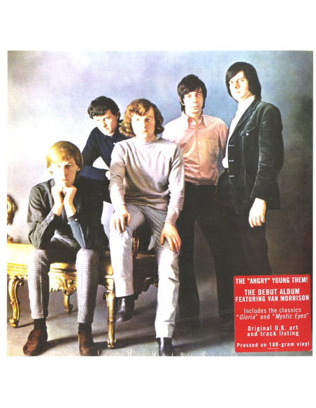 Them - The Angry Young Them!