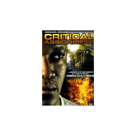 Critical Assignment