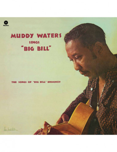 Waters Muddy - Sings Big Bill Broonzy