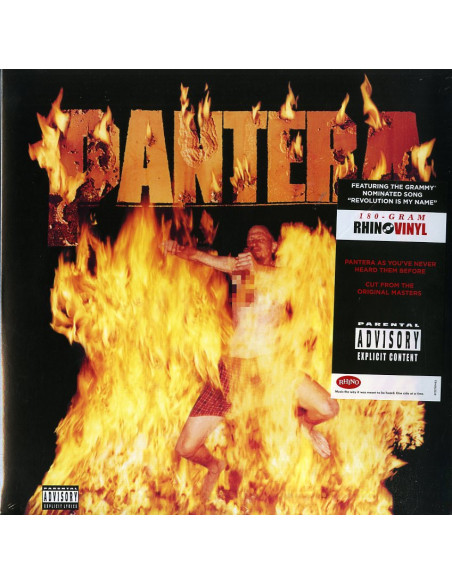 Pantera - Reinventing The Steel