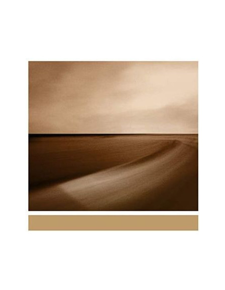 Eno Brian - Small Craft On A Milk Sea