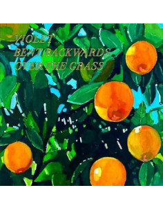 Del Rey Lana - Violet Bent Backwards Over The Grass (Audiolibro Di Poesie)