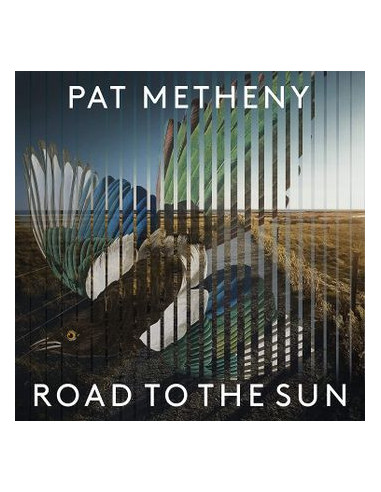 Metheny Pat - Road To The Sun