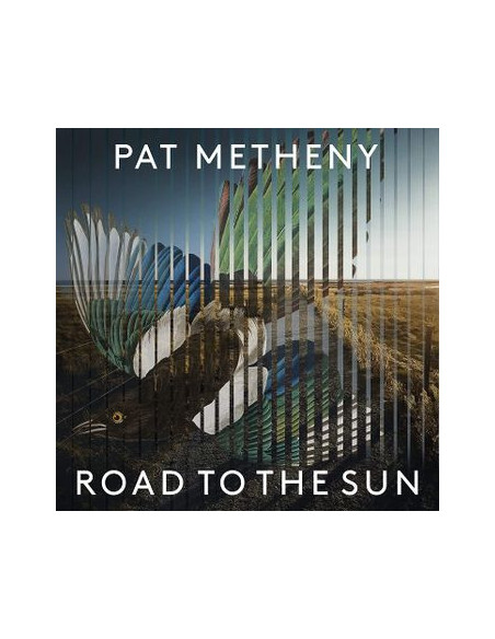 Metheny Pat - Road To The Sun