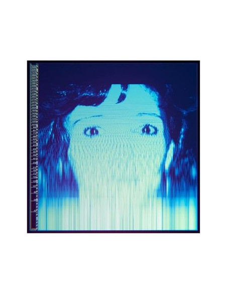 Avalanches - We Will Always Love You (Vinyl Black)