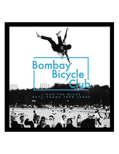 Bombay Bicycle Club - I Had The Blues...