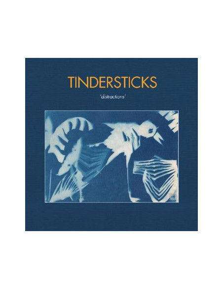 Tindersticks - Distractions