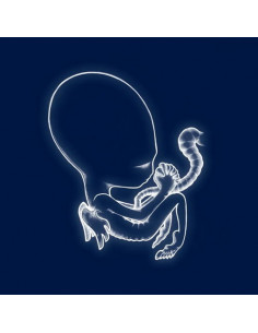 Sigur Ros - G Tis Byrjun