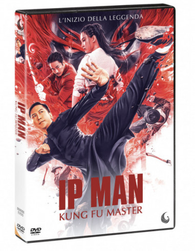 Ip Man - Kung Fu Master
