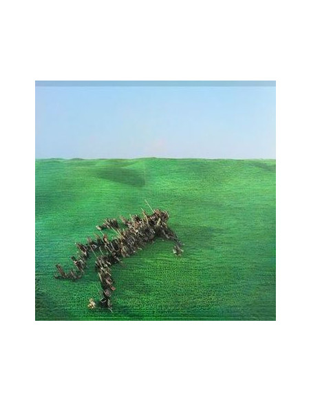 Squid - Bright Green Field