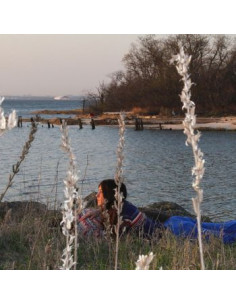 Weyes Blood - Cardamom Times