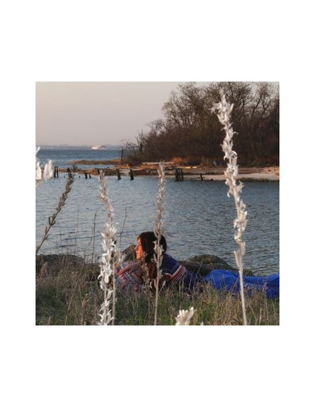 Weyes Blood - Cardamom Times