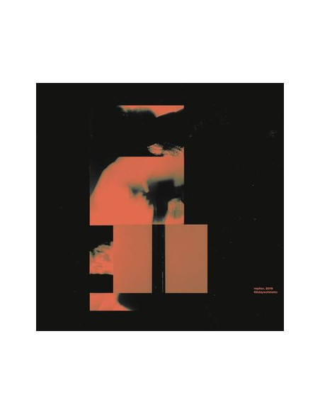 65Daysofstatic - Replicr 2019 (Vinyl Black Lp+Cd)