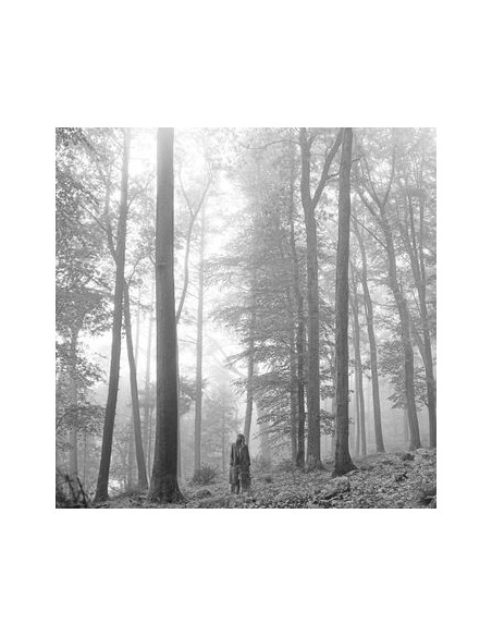 Swift Taylor - Folklore