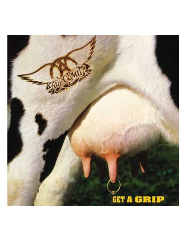 Aerosmith - Get A Grip