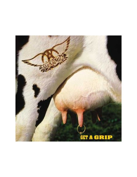 Aerosmith - Get A Grip