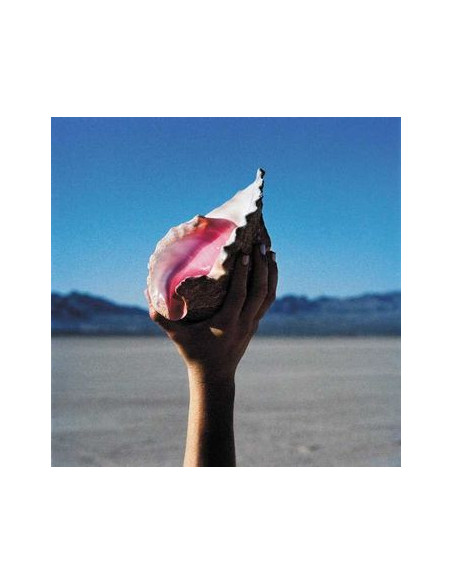 Killers The - Wonderful Wonderful