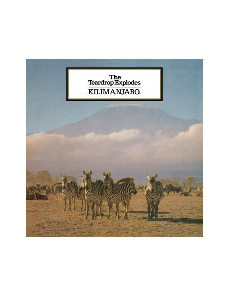 Teardrop Explodes - Kilimanjaro