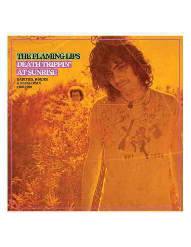 Flaming Lips The - Death Trippin At...