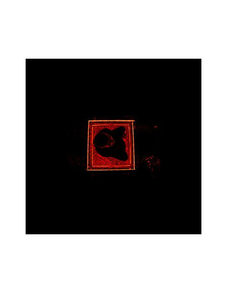 Costello, Graham - Second Lives [Lp]