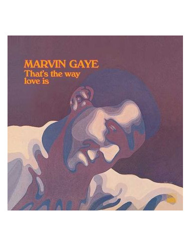 Gaye Marvin - That'S The Way Love Is