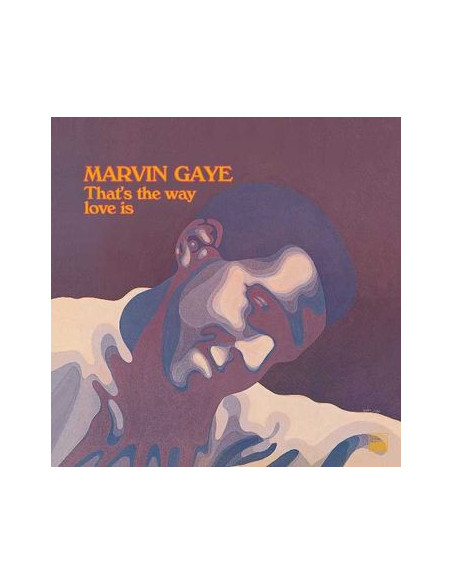 Gaye Marvin - That'S The Way Love Is