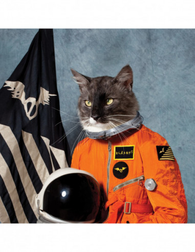 Klaxons The - Surfing The Void (Rsd)