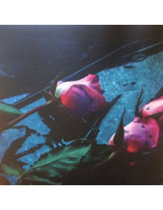 Skeleton Hands - Wake