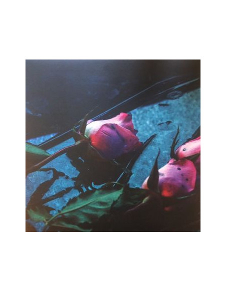 Skeleton Hands - Wake