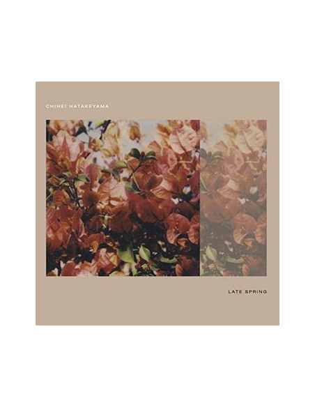Hatakeyama Chihei - Late Spring (Japanese Edition)