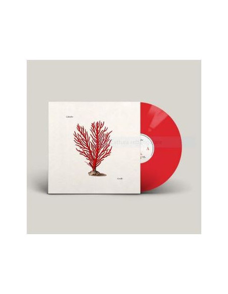 Colombre - Corallo Vinile Numerato Autografato