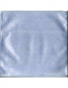 Buste Trasp.( 10") Vinyl( 100Pz.) - Buste Trasp.(10") Vinyl (100Pz.)