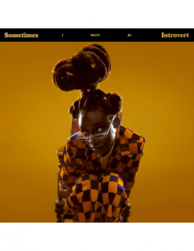 Little Simz - Sometimes I Might Be...