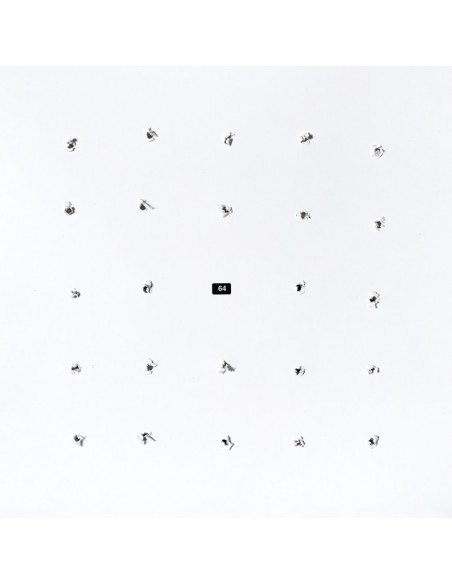 Ian William Craig & Kago - Split Series 24