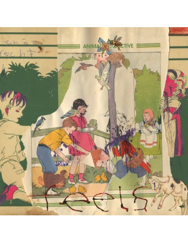 Animal Collective - Fells