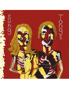 Animal Collective - Sung Tongs