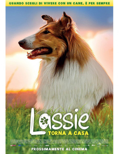 Lassie Torna A Casa (Blu-Ray)