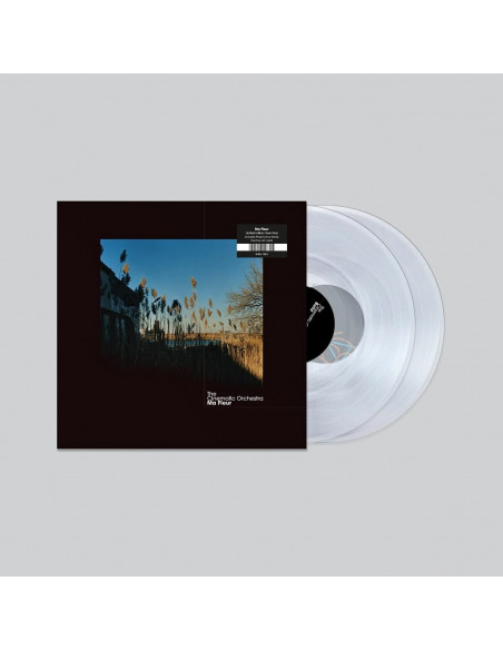 Cinematic Orchestra The - Ma Fleur 2021 (Vinyl Clear)