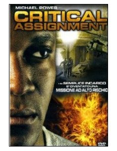 Critical Assignment 2