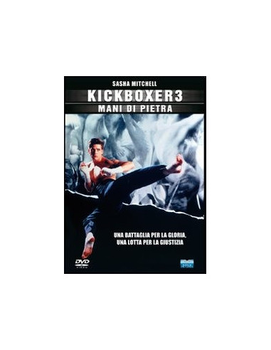Kickboxer 3 - Mani di pietra