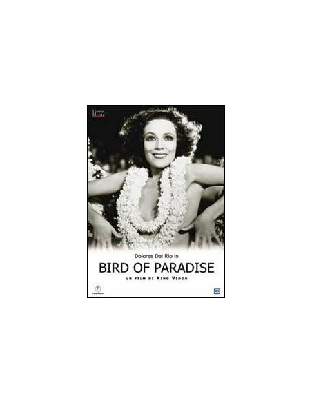 Bird Of Paradise