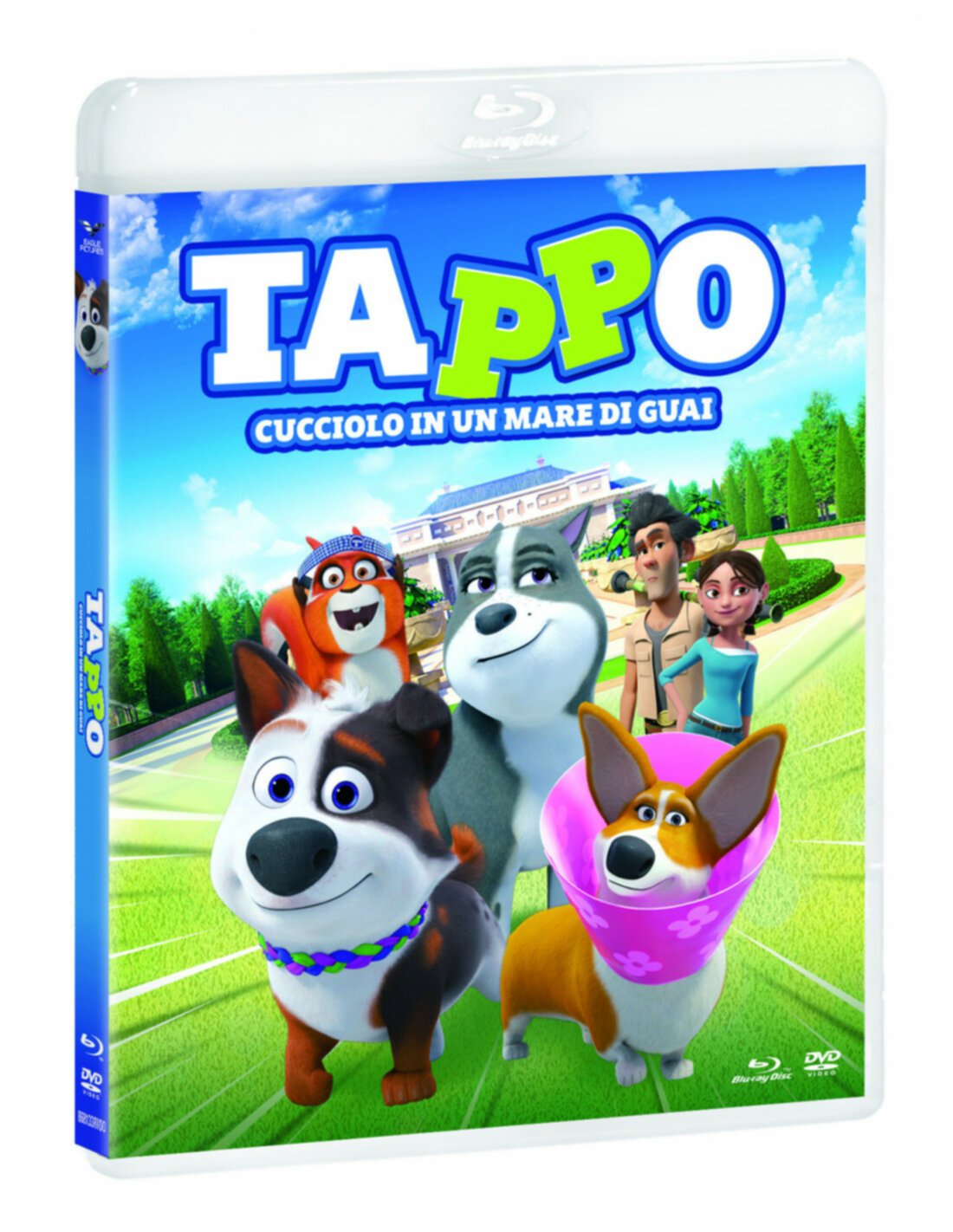 Tappo Cucciolo In Un Mare Di Guai (Blu Ray + Dvd) solo 17,99 € BLU RAY vendita online Tappo Cucciolo In Un Mare Di Guai (Blu Ray + Dvd) solo 17,99 € BLU RAY vendita online