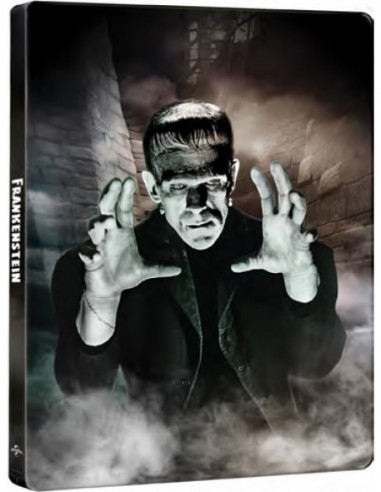 Frankenstein (1931) (90Th Anniversary...