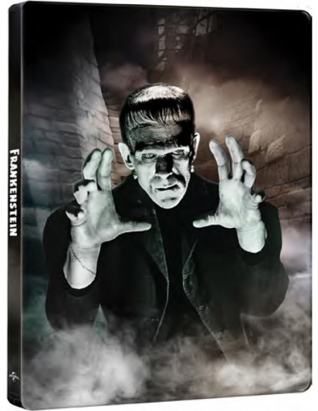 Frankenstein (1931) (90Th Anniversary Steelbook) (4K Ultra Hd+Blu-Ray)