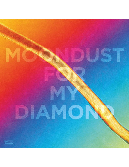Hayden Thorpe - Moondust For My Diamond