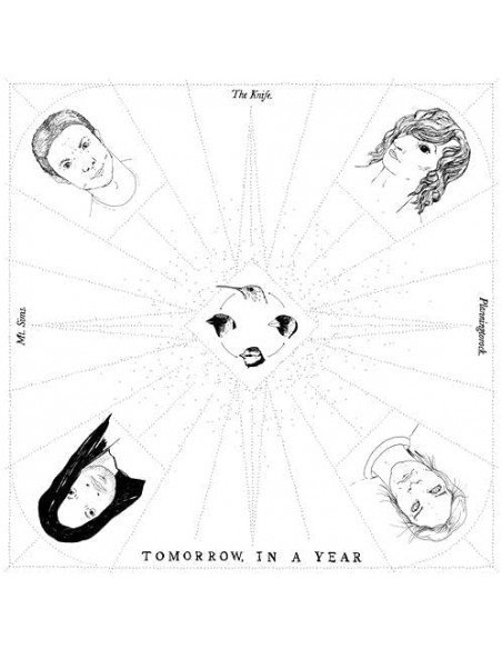 The Knife - Tomorrow In A Year