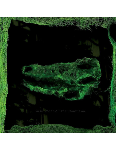 Avey Tare - Down There