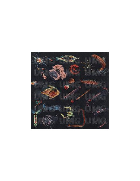 Fiori Alessandro - Plancton - (CD)